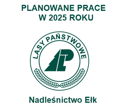 Informacje o planowanych pracach w 2025 roku