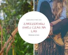 Zajęcia edukacyjne z leśnikiem