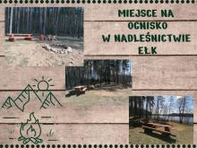 Miejsce na ognisko w Nadleśnictwie Ełk