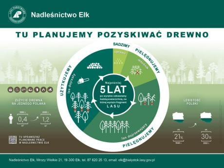 Informacje o pracach prowadzonych w Nadleśnictwie Ełk