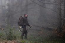 Akcja „Wieniec” 2026 - ogólnopolskie działania Straży Leśnej